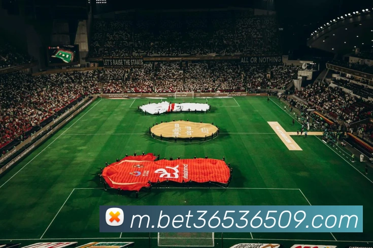 bet365服务体系
